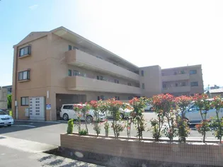 メゾン越智の画像