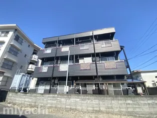 徳島県徳島市南昭和町4【マンション】の外観