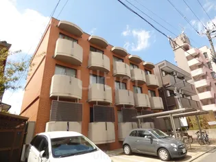 アイリス衣笠の画像