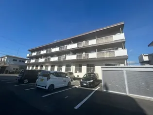 スカイキングⅡPLUSの画像