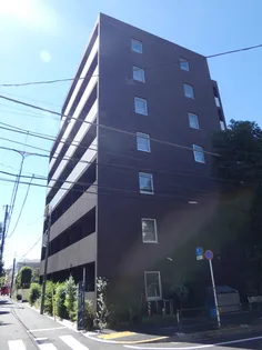 OLIVE Nの画像
