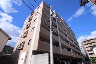 グレイスカワイIIの画像