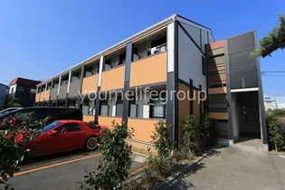 アンモードイグサ1の画像