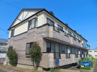 プリムローズの画像