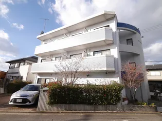 アートハルディン千早の画像