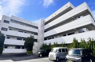 ドラゴンズパレスの画像