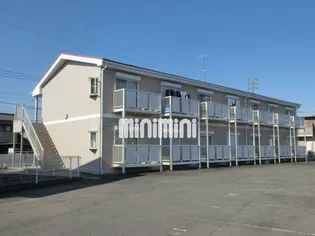 シューフルールVIIの画像