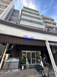 PAULOWNIAVALLEYーTAKE12大口通の画像