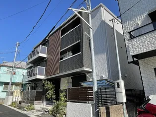 ベル ビスカスの画像