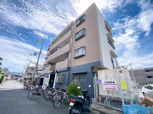 SQUD HAIZUKAの画像