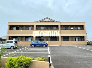 TOグレートピレニーズの画像