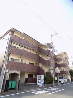 グレートシャルムの画像