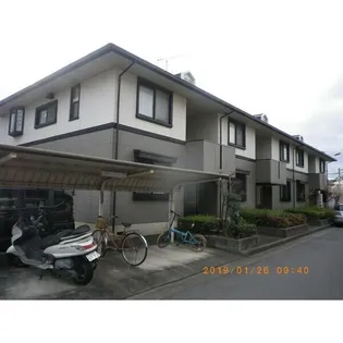 シャルマンイワイの画像