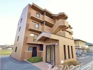 ブラウニィヒルの画像