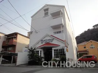 アメリカンパレス【3階】の外観