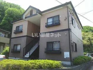 グラシア寒田の画像