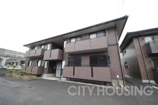 アムールAの画像