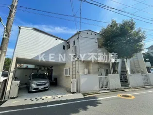 オキナテラスの画像