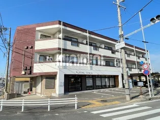 ビアード ココの画像