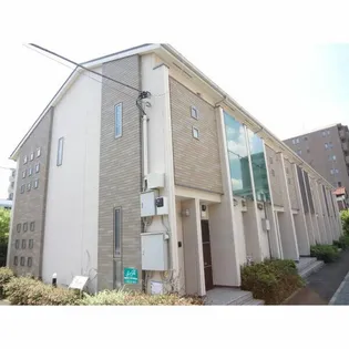 パルムドールの画像