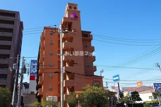 ルークロエの画像