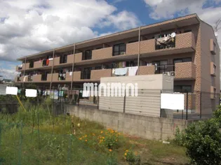 TステージミカーレⅠの画像