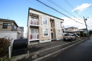 オリーブの画像