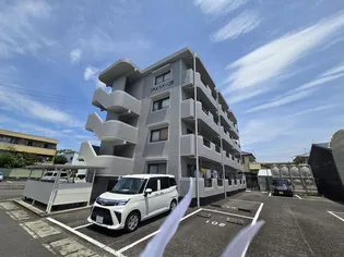 フェリースの画像