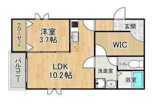 ワードローブ次郎丸【3階】の間取り