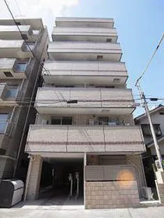 IVORYの画像