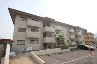 ヴェルテ皆賀の画像