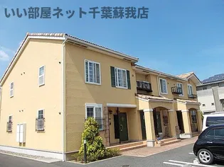 サンライズ あじさい Bの画像
