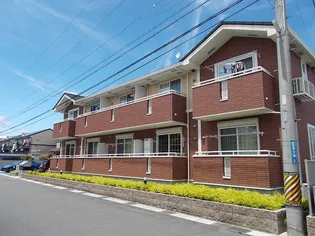 マレ ステルラの画像