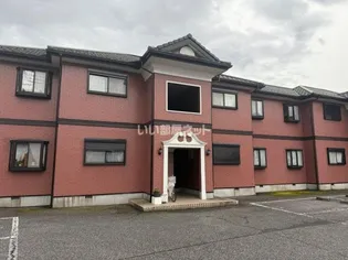 セントポーリアPーIIIの画像