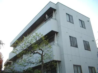 埼玉県さいたま市浦和区東仲町【マンション】の外観