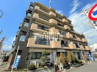 アドバンスの画像