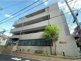 コスモフラワーの画像