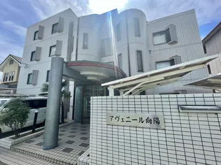 アヴェニ-ル向陽【1階】の外観