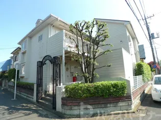 アルファネクストビッグフィールドの画像