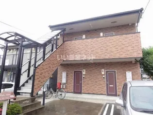 VIOLA LUTEAの画像