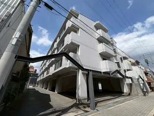 セゾンアルビレオの画像