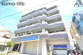 グレイス91の画像