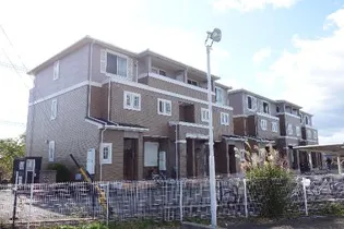 マオリッツの画像