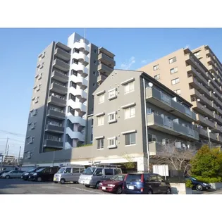 セリオ8番館の画像