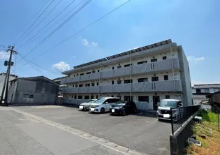 グレープ圭の画像