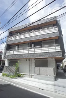 モンティ チェロの画像