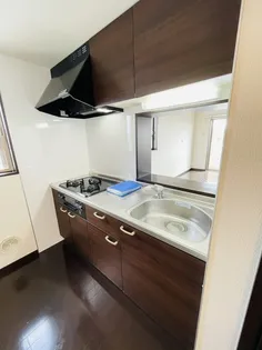 カスティージョ【5階】のキッチン