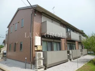 シュシュの画像