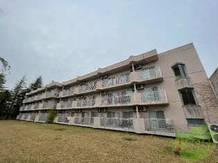 ベルシティ泉水【1階】の外観