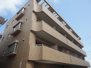 M CHATELET IZUMI CHUOの画像